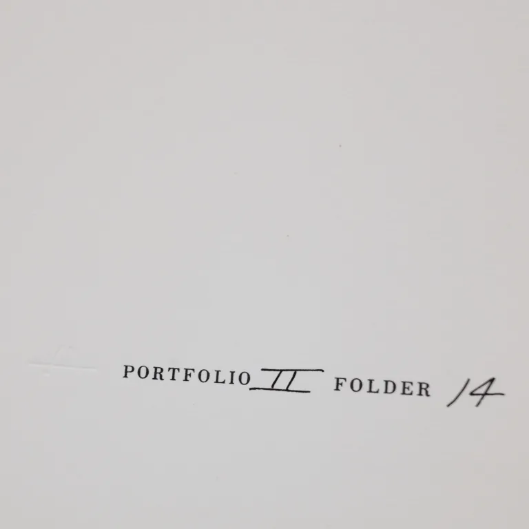 Detail for Josef Albers: Formulation Articulation Homage To The Square Portfolio II Folder 14 Print, 1972 (5 of 6)