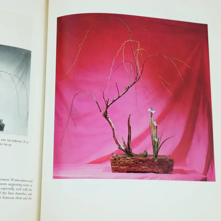 Detail for "The Art of Arranging Flowers, A Complete Guide to Japanese Ikebana" by Shozo Sato, 1965 (3 of 6)