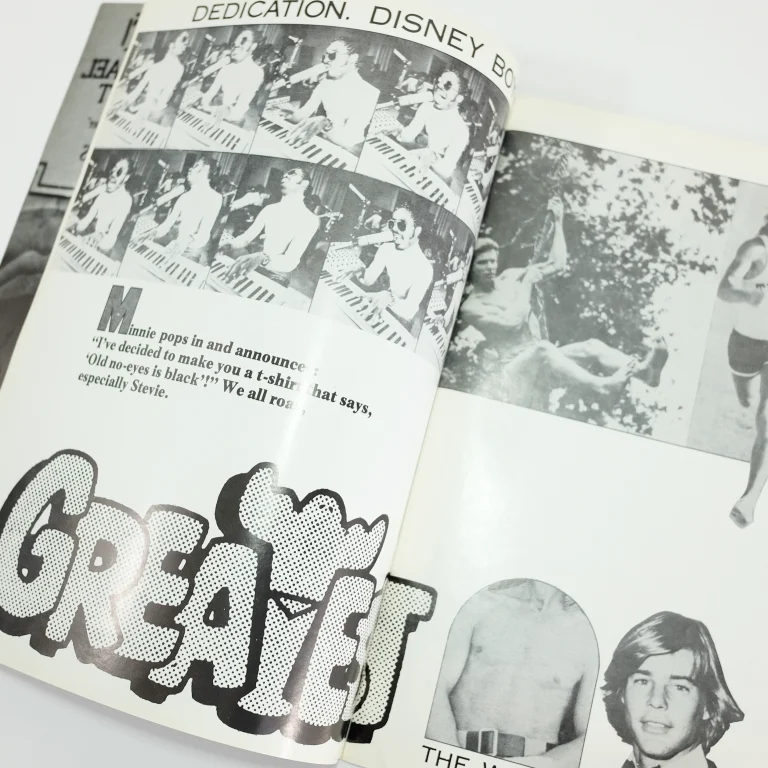 Detail for Fanzini '75 by John Dowd & John Jack Baylin Art Collage Zine, 1975 (3 of 6)