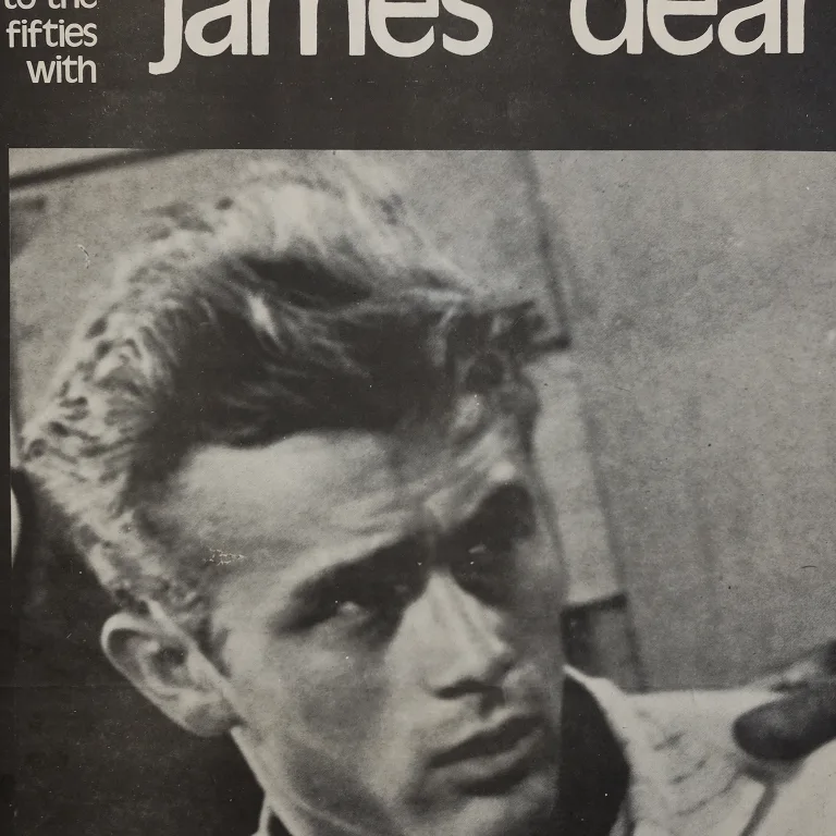 Detail for Akira Kurosawa Film Festival Double Sided Vagabond Theater Half Sheet Poster (6 of 6)